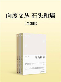 《向度文丛  石头和墙（全3册）》-陈传席
