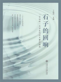 《石子的回响》-丁晓萍