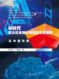 《AI时代智力资本理论研究与实践探索：以中国为例》-朱乃肖