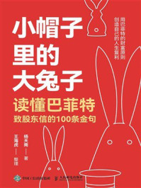 《小帽子里的大兔子：读懂巴菲特致股东信的100条金句》-杨天南