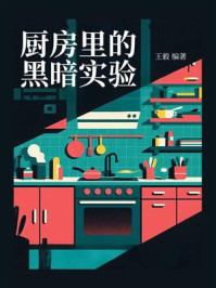 《厨房里的黑暗实验》-王毅