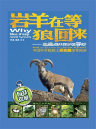 《岩羊在等狼回来：走进自然保护区寻珍》-钟嘉