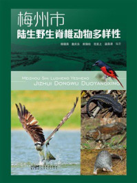 《梅州市陆生野生脊椎动物多样性》-杨锡涛