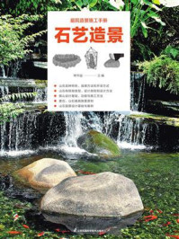 《石艺造景》-常华溢