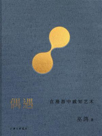 《偶遇：在漫游中感知艺术》-巫鸿