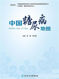 《中国糖尿病地图》-吴静