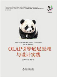 《OLAP引擎底层原理与设计实践》-高英举 《OLAP引擎底层原理与设计实践》-高英举