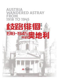 《岐路徘徊：1918-1945年的奥地利》-崔阳