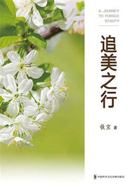 《追美之行》-铁宝