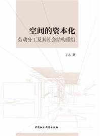 《空间的资本化：劳动分工及其社会结构重组》-丁乙