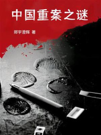 《中国重案之谜》-郑宇澄辉