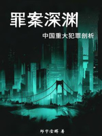 《罪案深渊：中国重大犯罪剖析》-郑宇澄辉