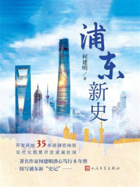 《浦东新史》-何建明