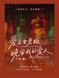 《爱上女老板：晚安我的爱人》-十年