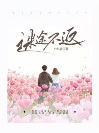 《迷途不返》-MM音