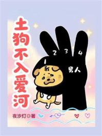 《土狗不入爱河》-夜沙灯