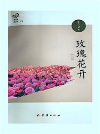 《玫瑰花开》-牛存金