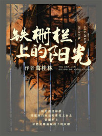 《铁栅栏上的阳光》-葛桂林
