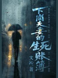 《下岗夫妻的生死账簿》-文沁