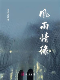 《风雨情缘》-李圣杰