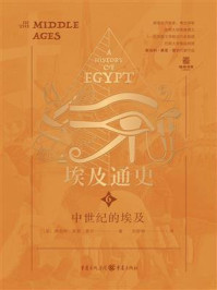 《埃及通史6:中世纪的埃及》-斯坦利·莱恩·普尔 《埃及通史6:中世纪的埃及》-斯坦利·莱恩·普尔