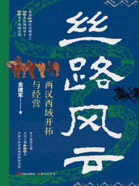 《丝路风云：两汉西域开拓与经营》-金建军