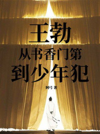 《王勃：从书香门第到少年犯》-阿弓
