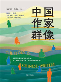 《中国作家群像》-夏夜飞行
