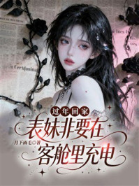 《过年回家，表妹非要在客舱里充电》-月下雨毛