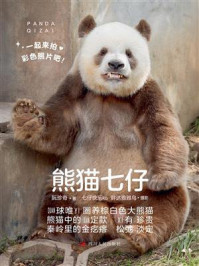 《熊猫七仔》-阮珍奇