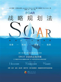 《SOAR战略规划法》-杰奎琳·M.斯特拉夫罗斯 《SOAR战略规划法》-杰奎琳·M.斯特拉夫罗斯