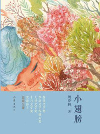 《小翅膀》-周晓枫