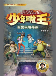 《少年冒险王·西夏秘境寻踪》-彭绪洛 《少年冒险王·西夏秘境寻踪》-彭绪洛