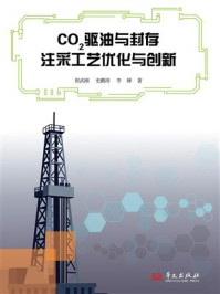 《CO₂驱油与封存注采工艺优化与创新》-程武刚 《CO₂驱油与封存注采工艺优化与创新》-程武刚