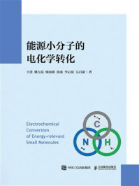 《能源小分子的电化学转化》-王进