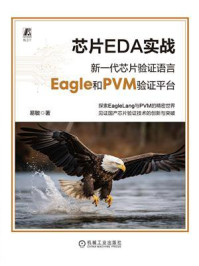 《芯片EDA实战：新一代芯片验证语言Eagle和PVM验证平台》-易敏