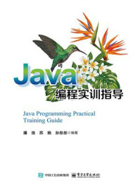 《Java编程实训指导》-潘浩