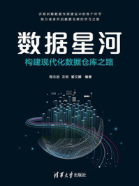 《数据星河：构建现代化数据仓库之路》-程志远