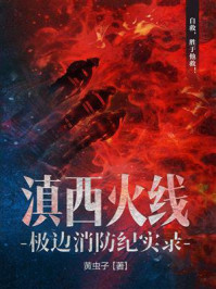 《滇西火线：极边消防纪实录》-黄虫子