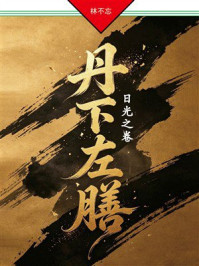 《丹下左膳&middot;第三部：日光之卷》-林不忘