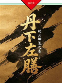 《丹下左膳&middot;第一部：乾云坤龙之卷》-林不忘