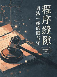 《程序缝隙:司法一线的困与守》-林墨鱼儿 《程序缝隙:司法一线的困与守》-林墨鱼儿