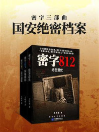 《密字三部曲：国安绝密档案》-王鸣鹢