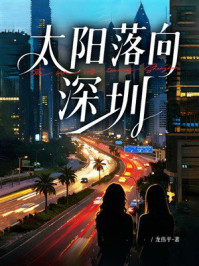 《太阳落向深圳》-龙伟平
