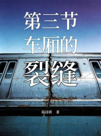 《第三节车厢的裂缝》-陆诗琪