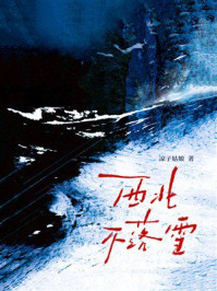 《西北不落雪》-凉子姑娘