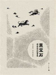 《黑宝石：靖西民间故事集》-黄碧功