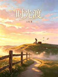 《时光渡》-王岚