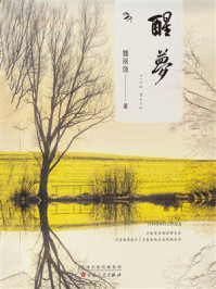 《醒梦》-魏丽饶