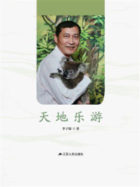 《天地乐游》-李子银